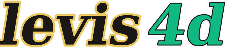 levis4d logo